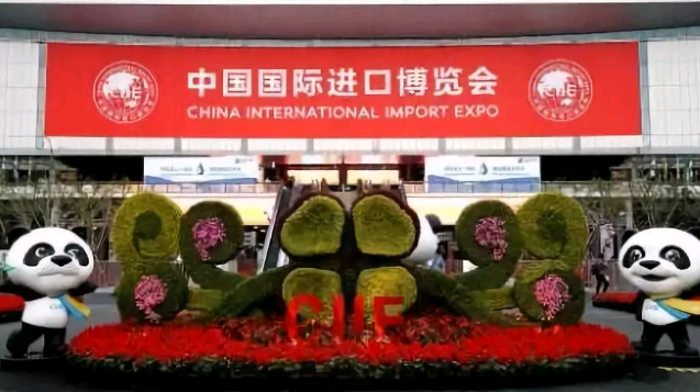 上海进博会上的3D打印展品